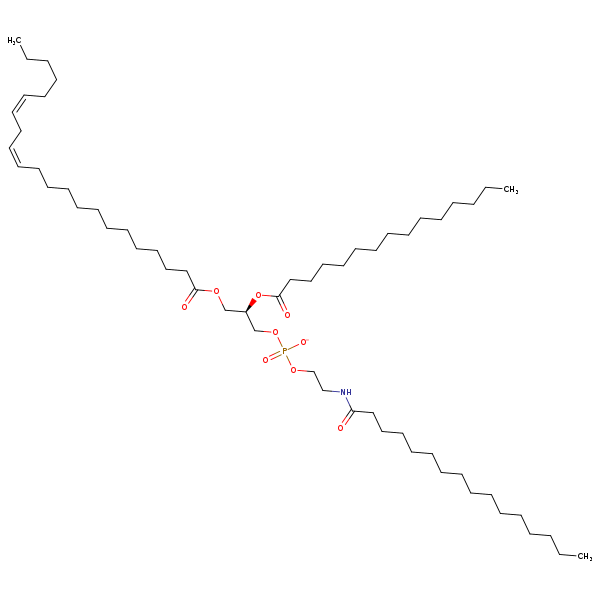 Image of MNXM955090
