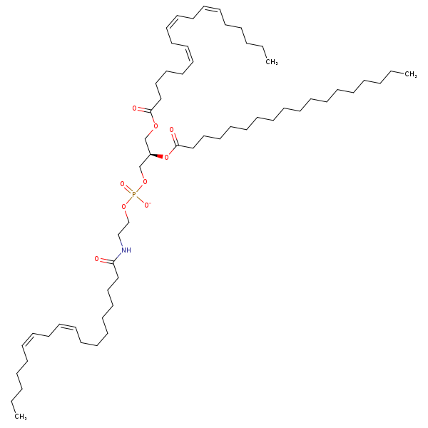Image of MNXM955346