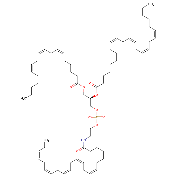 Image of MNXM956003