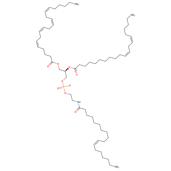 Image of MNXM959311