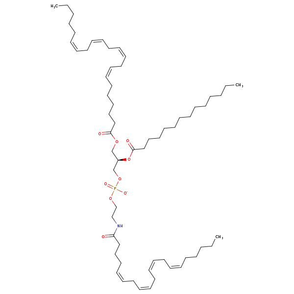 Image of MNXM960024