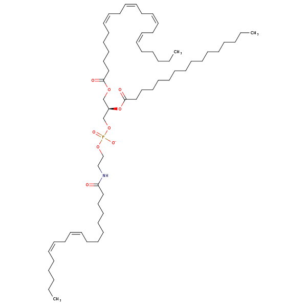 Image of MNXM960036