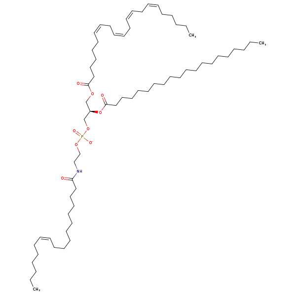 Image of MNXM960067