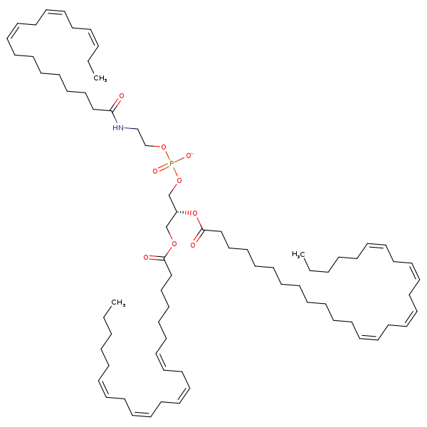Image of MNXM960608