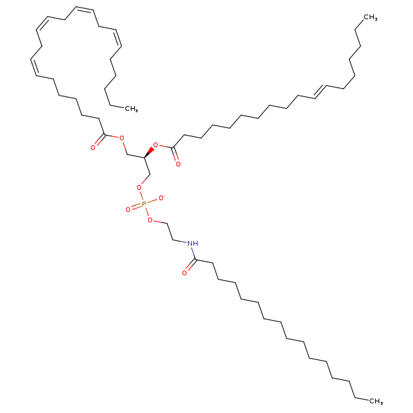 Image of MNXM960802