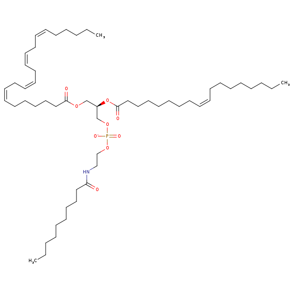 Image of MNXM960813
