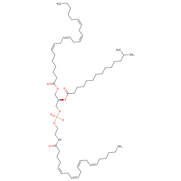 Image of MNXM960934