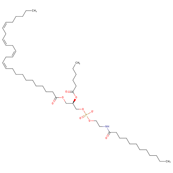 Image of MNXM962312