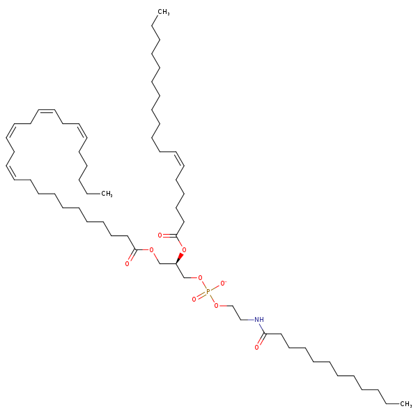 Image of MNXM963250
