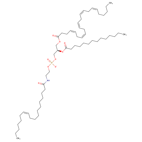 Image of MNXM970609