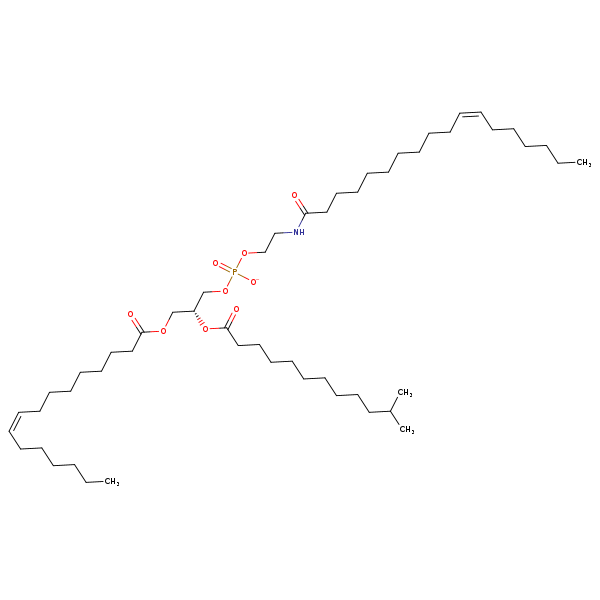 Image of MNXM978561