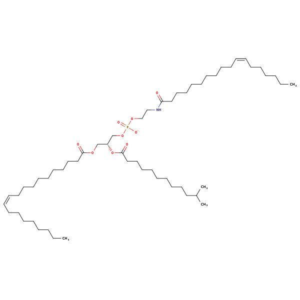Image of MNXM983258