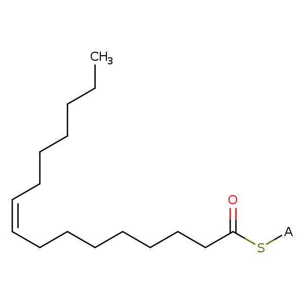 Image of MNXM997